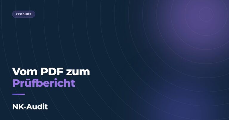 Vom PDF zum Prüfbericht, NK-Audit