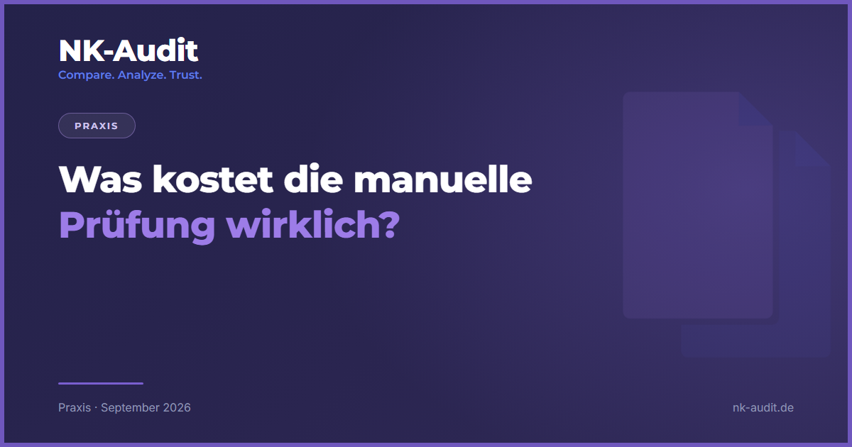 Was kostet die manuelle Pruefung wirklich, NK-Audit Blog